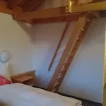 Mira Toedi *